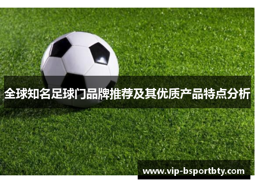 全球知名足球门品牌推荐及其优质产品特点分析