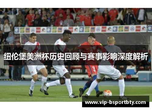 纽伦堡美洲杯历史回顾与赛事影响深度解析
