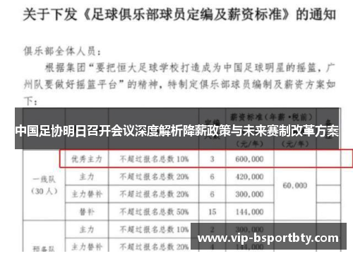 中国足协明日召开会议深度解析降薪政策与未来赛制改革方案